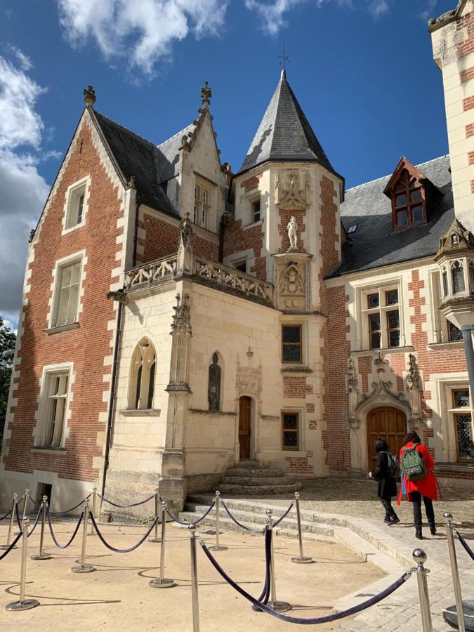 Au Coeur Des Chateaux Chambon-sur-Cisse Bagian luar foto