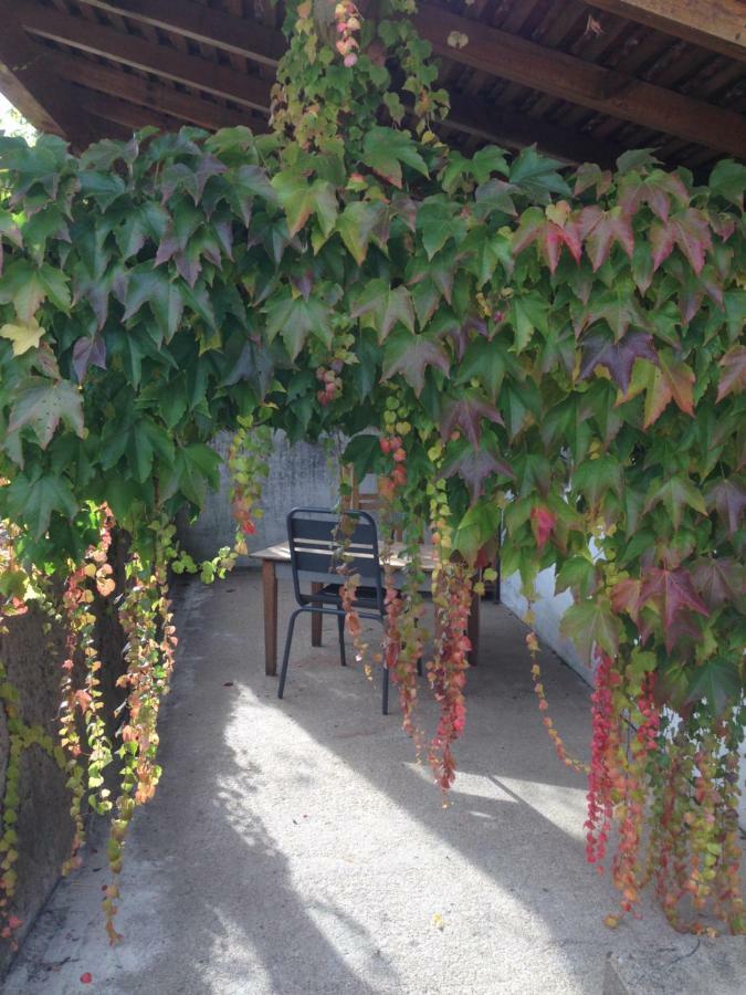 Au Coeur Des Chateaux Chambon-sur-Cisse Bagian luar foto